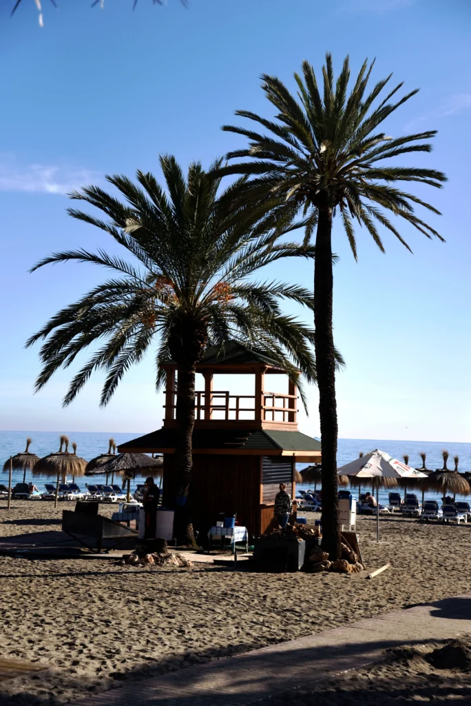 Marbella | Travel Guide D7501147 684x1024
